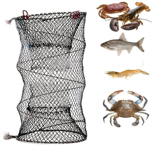 Collapsible Trap Cage For Minnows